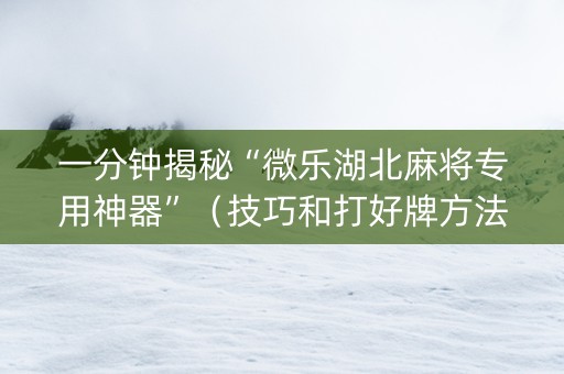 一分钟揭秘“微乐湖北麻将专用神器”（技巧和打好牌方法)