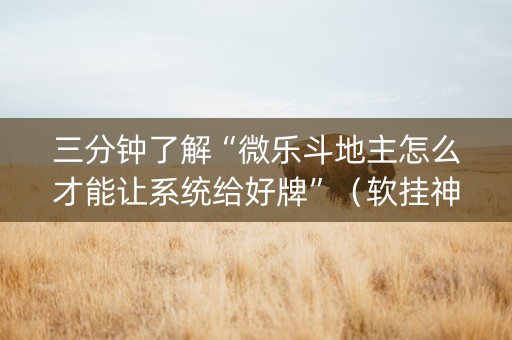 三分钟了解“微乐斗地主怎么才能让系统给好牌”（软挂神器)