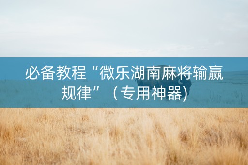必备教程“微乐湖南麻将输赢规律”（专用神器)