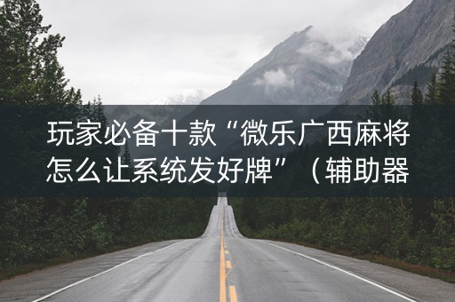 玩家必备十款“微乐广西麻将怎么让系统发好牌”（辅助器插件)