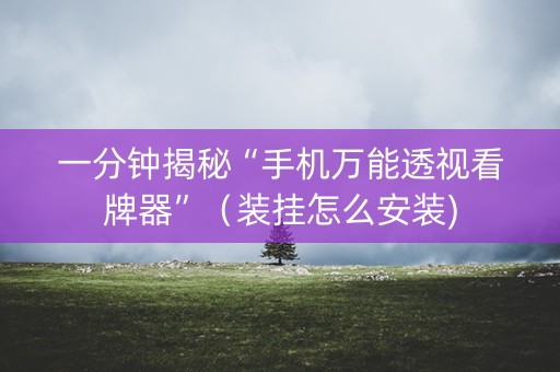 一分钟揭秘“手机万能透视看牌器”（装挂怎么安装)