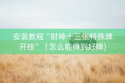 安装教程“财神十三张特殊牌开挂”（怎么能得到好牌)