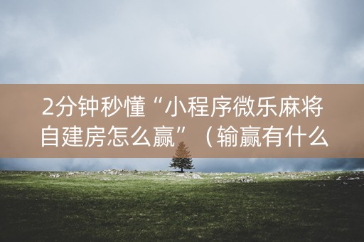 2分钟秒懂“小程序微乐麻将自建房怎么赢”（输赢有什么规律)