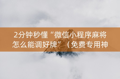 2分钟秒懂“微信小程序麻将怎么能调好牌”（免费专用神器)