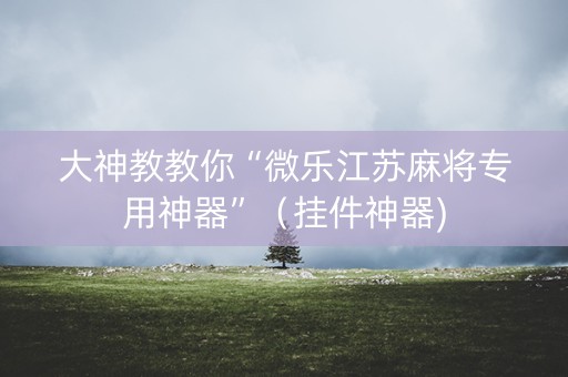 大神教教你“微乐江苏麻将专用神器”（挂件神器)