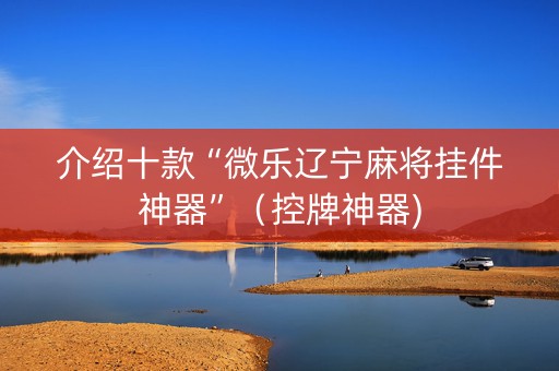 介绍十款“微乐辽宁麻将挂件神器”（控牌神器)