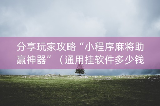 分享玩家攻略“小程序麻将助赢神器”（通用挂软件多少钱)
