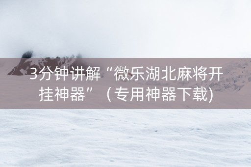 3分钟讲解“微乐湖北麻将开挂神器”（专用神器下载)