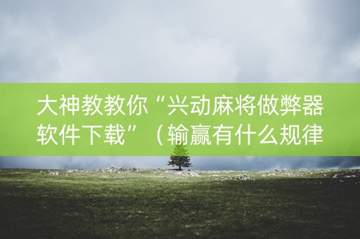 大神教教你“兴动麻将做弊器软件下载”（输赢有什么规律)