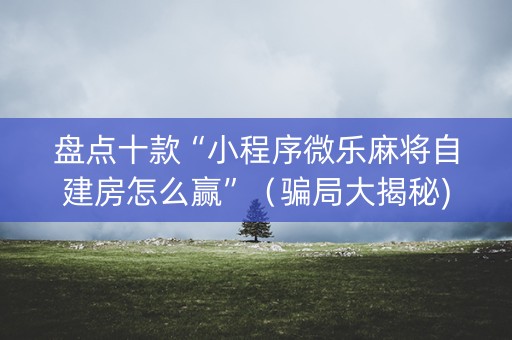 盘点十款“小程序微乐麻将自建房怎么赢”（骗局大揭秘)