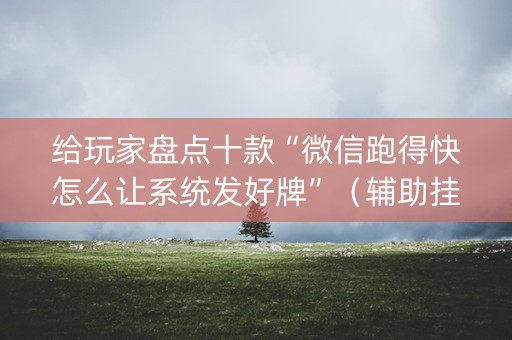 给玩家盘点十款“微信跑得快怎么让系统发好牌”（辅助挂发牌规律)
