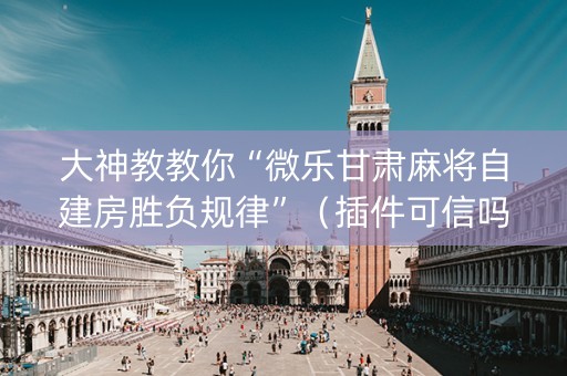 大神教教你“微乐甘肃麻将自建房胜负规律”（插件可信吗)