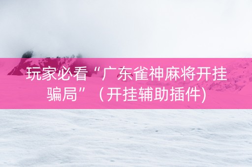 玩家必看“广东雀神麻将开挂骗局”（开挂辅助插件)