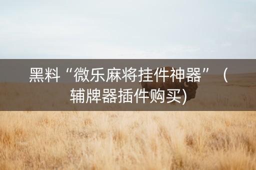 黑料“微乐麻将挂件神器”（辅牌器插件购买)