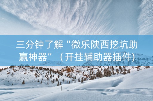三分钟了解“微乐陕西挖坑助赢神器”（开挂辅助器插件)