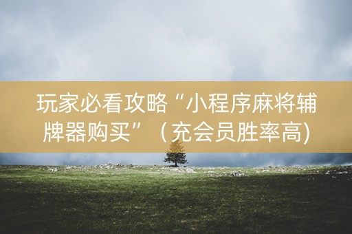 玩家必看攻略“小程序麻将辅牌器购买”（充会员胜率高)