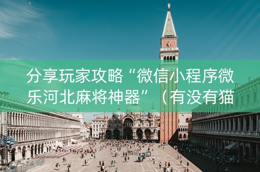 分享玩家攻略“微信小程序微乐河北麻将神器”（有没有猫腻)