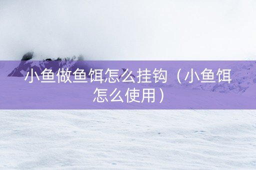 小鱼做鱼饵怎么挂钩（小鱼饵怎么使用）