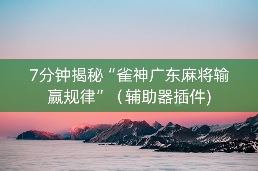 7分钟揭秘“雀神广东麻将输赢规律”（辅助器插件)