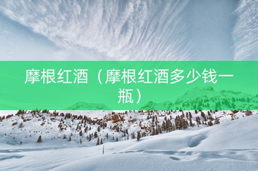 摩根红酒（摩根红酒多少钱一瓶）