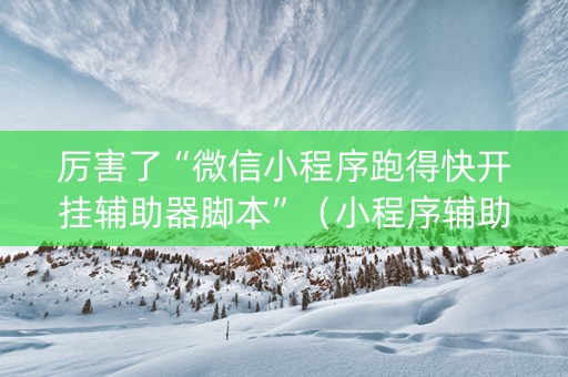 厉害了“微信小程序跑得快开挂辅助器脚本”（小程序辅助软件)