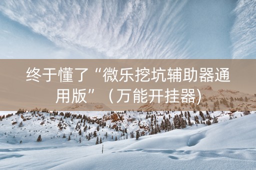终于懂了“微乐挖坑辅助器通用版”（万能开挂器)