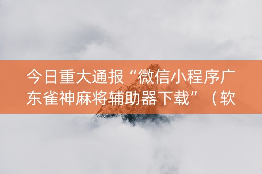 今日重大通报“微信小程序广东雀神麻将辅助器下载”（软件出售)