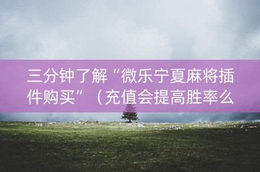 三分钟了解“微乐宁夏麻将插件购买”（充值会提高胜率么)