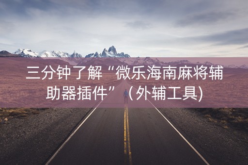 三分钟了解“微乐海南麻将辅助器插件”（外辅工具)