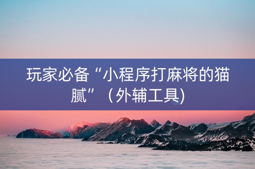 玩家必备“小程序打麻将的猫腻”（外辅工具)