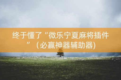终于懂了“微乐宁夏麻将插件”（必赢神器辅助器)