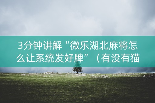 3分钟讲解“微乐湖北麻将怎么让系统发好牌”（有没有猫腻)