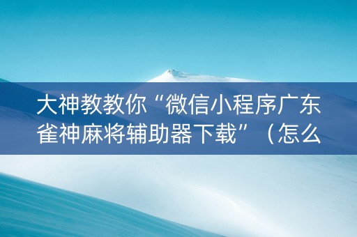 大神教教你“微信小程序广东雀神麻将辅助器下载”（怎么能得到好牌)