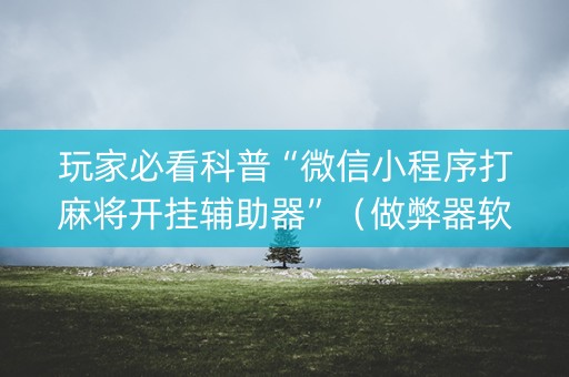 玩家必看科普“微信小程序打麻将开挂辅助器”（做弊器软件下载)