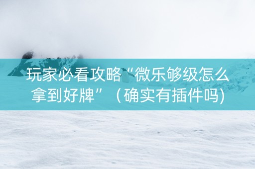 玩家必看攻略“微乐够级怎么拿到好牌”（确实有插件吗)