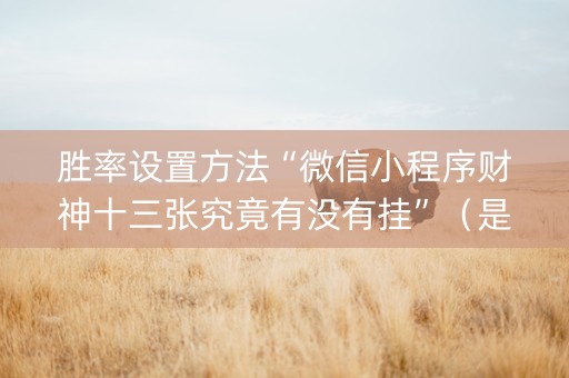胜率设置方法“微信小程序财神十三张究竟有没有挂”（是否能开挂)