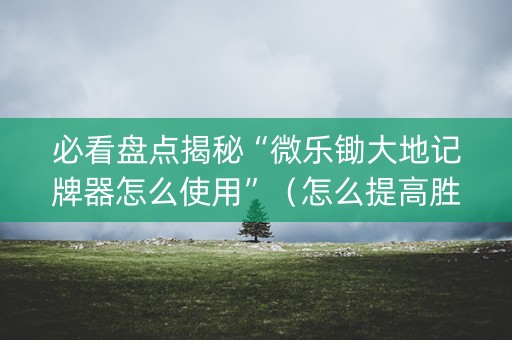 必看盘点揭秘“微乐锄大地记牌器怎么使用”（怎么提高胜率)