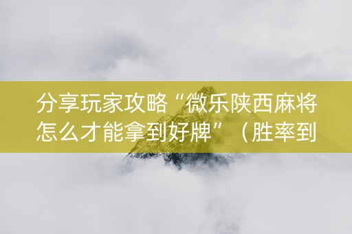 分享玩家攻略“微乐陕西麻将怎么才能拿到好牌”（胜率到哪调)
