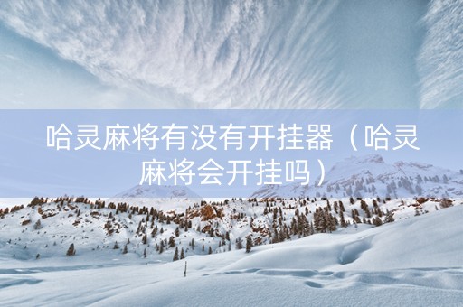 哈灵麻将有没有开挂器（哈灵麻将会开挂吗）