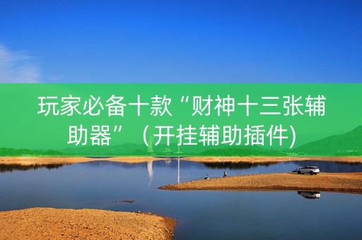 玩家必备十款“财神十三张辅助器”（开挂辅助插件)