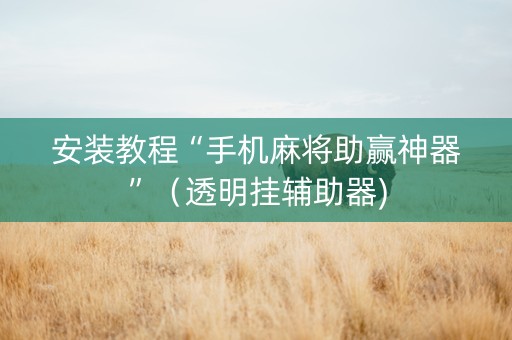 安装教程“手机麻将助赢神器”（透明挂辅助器)