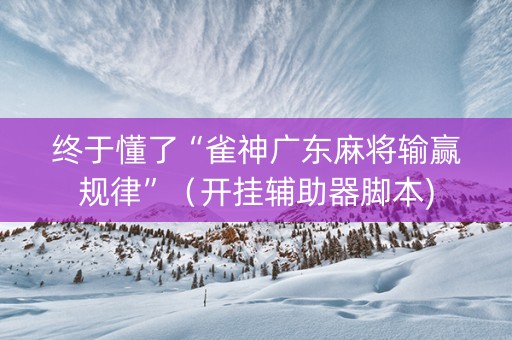终于懂了“雀神广东麻将输赢规律”（开挂辅助器脚本)