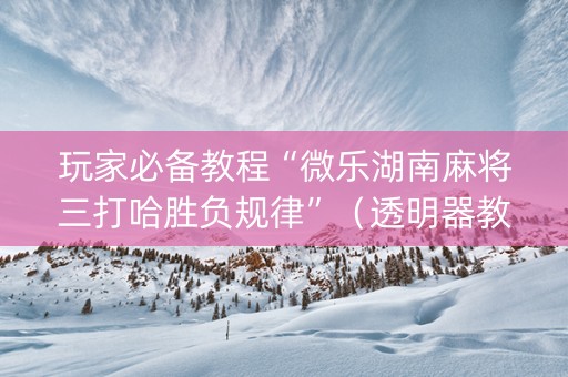 玩家必备教程“微乐湖南麻将三打哈胜负规律”（透明器教程)