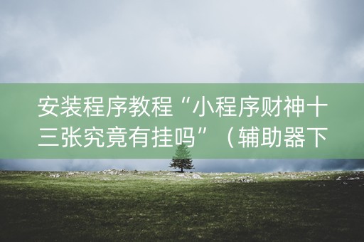 安装程序教程“小程序财神十三张究竟有挂吗”（辅助器下载)