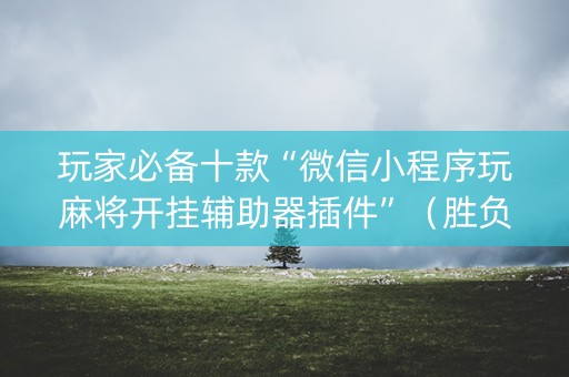 玩家必备十款“微信小程序玩麻将开挂辅助器插件”（胜负规律拿好牌)