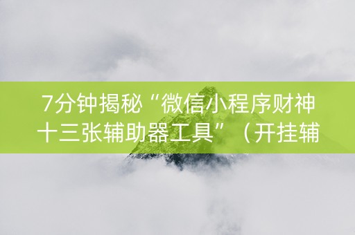 7分钟揭秘“微信小程序财神十三张辅助器工具”（开挂辅助器插件)