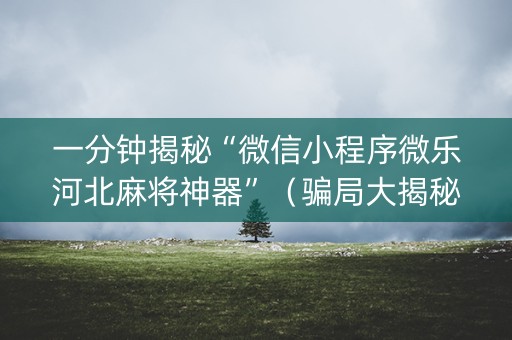 一分钟揭秘“微信小程序微乐河北麻将神器”（骗局大揭秘)