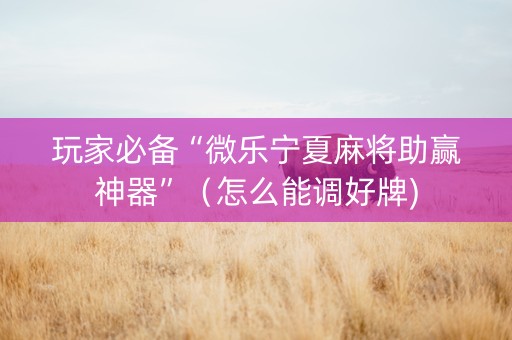 玩家必备“微乐宁夏麻将助赢神器”（怎么能调好牌)