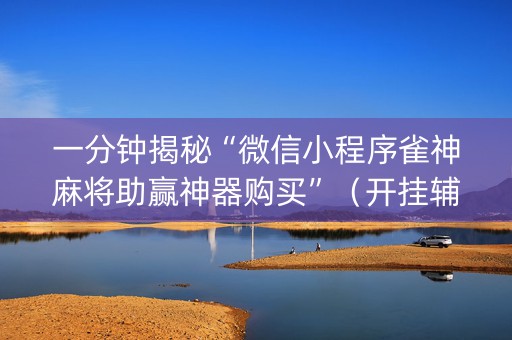 一分钟揭秘“微信小程序雀神麻将助赢神器购买”（开挂辅助器插件)