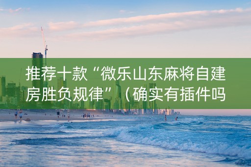 推荐十款“微乐山东麻将自建房胜负规律”（确实有插件吗)